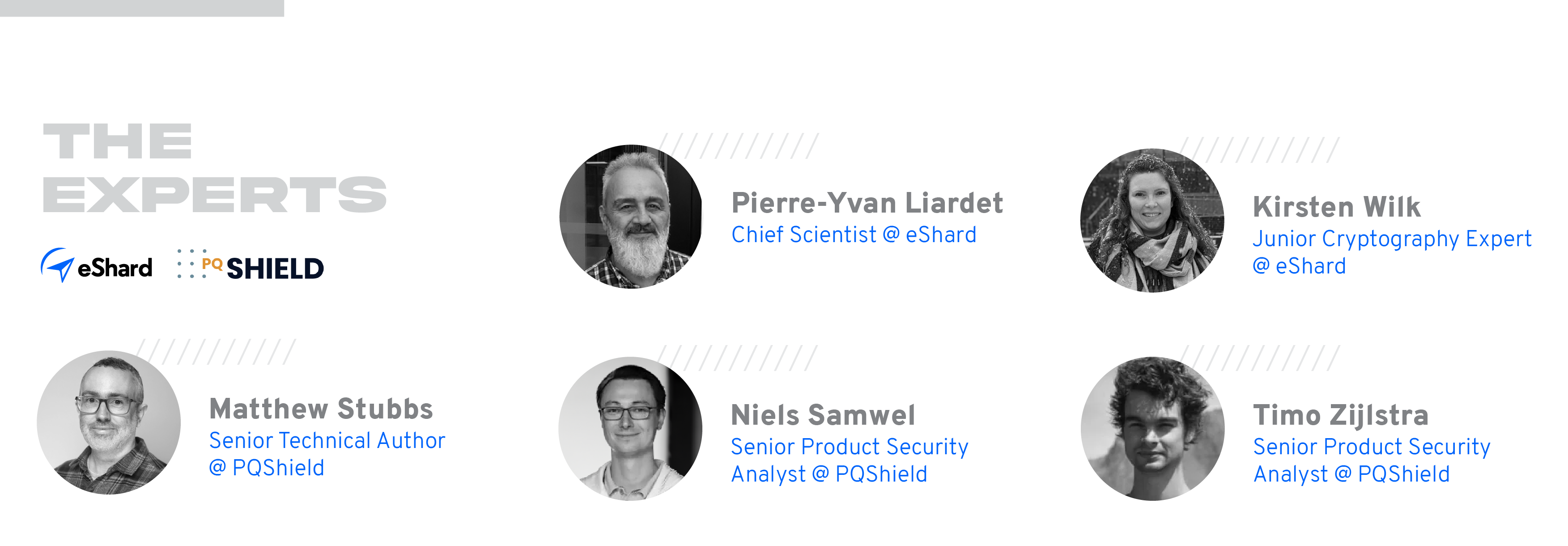 Expert review 3 eShard PQShield_Experts copy.png