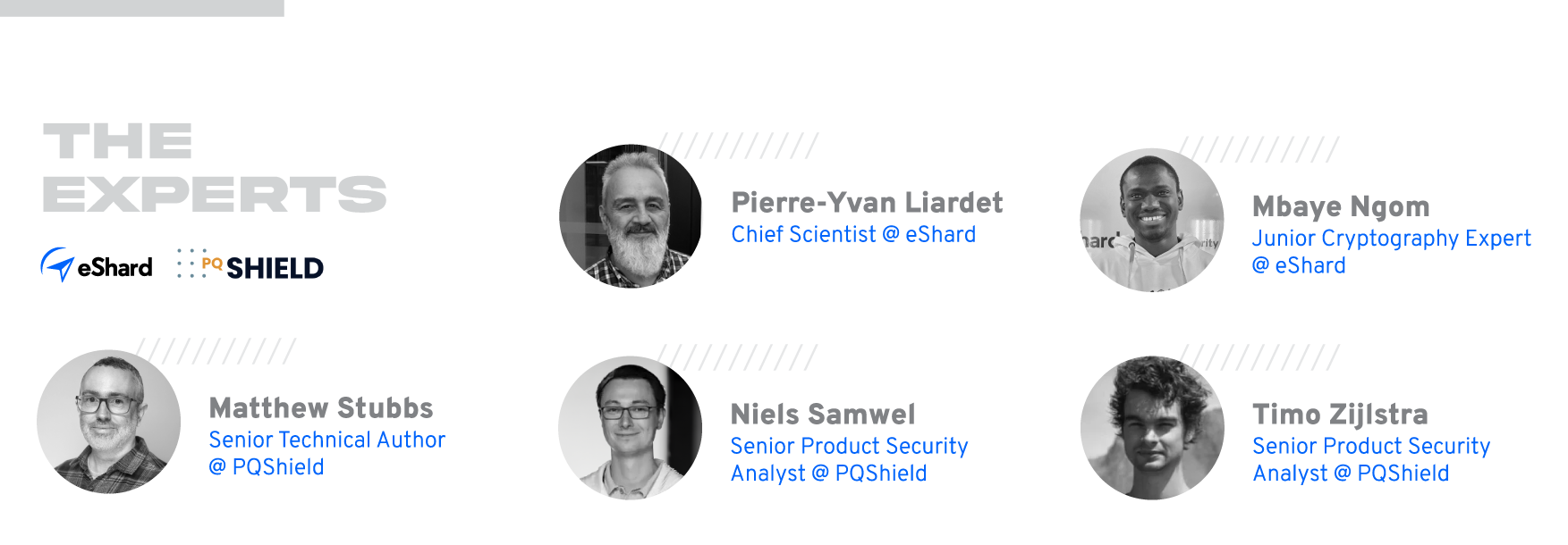 Expert-review-4-eShard-PQShield-experts.gif