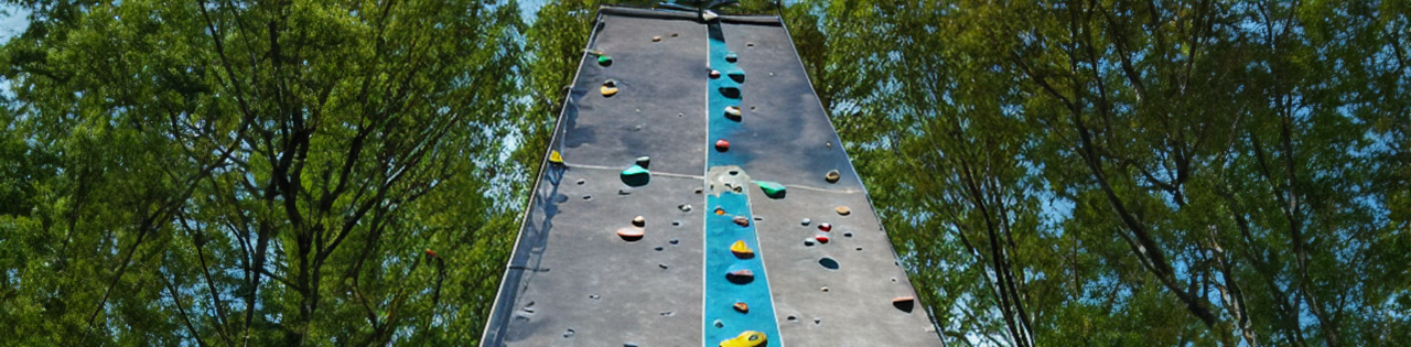 Side-Channel Attacks on FPGAs image 3.png