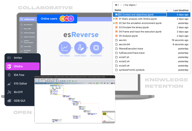 esR-illustrations-all-in-one-platform-for-binary-analysis.gif